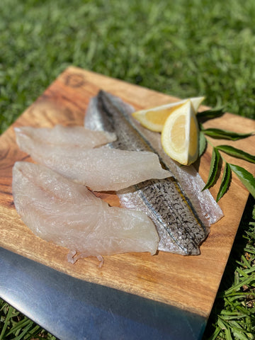 Fish fillets (SPECIAL)