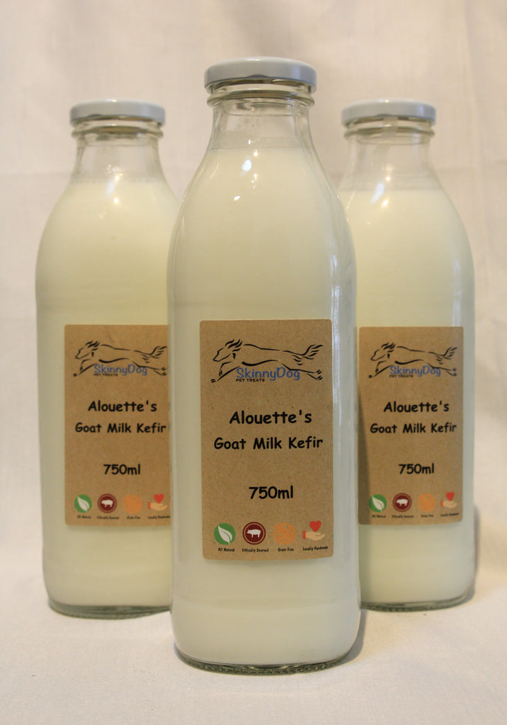 Goat kefir for outlet dogs