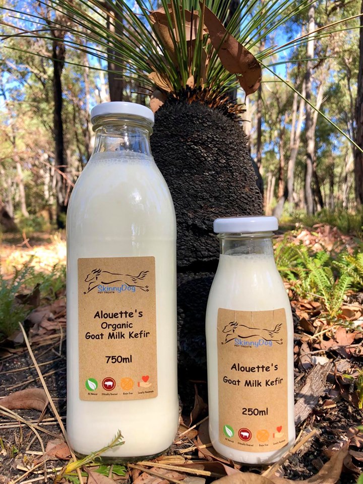Kefir dog treats new arrivals
