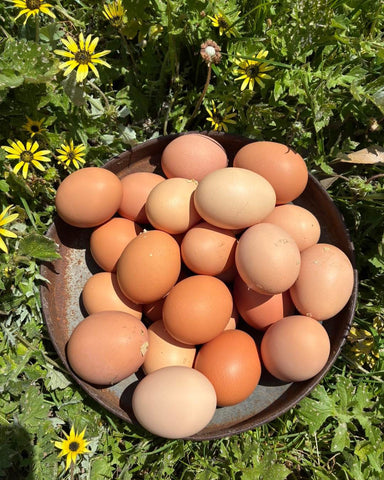 Fresh Eggs - dozen