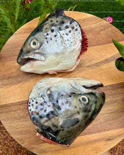Salmon Head