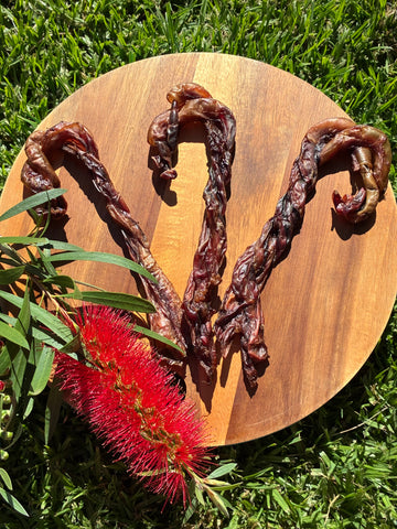 Pork Pizzle Candy Cane(Christmas Special)