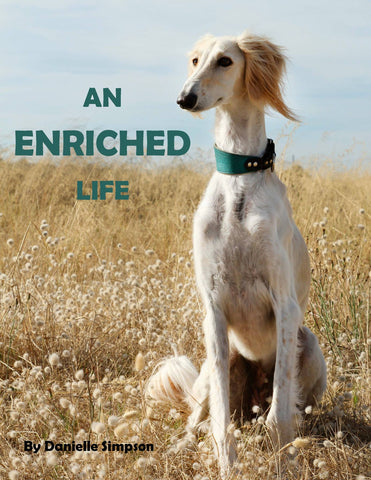An Enriched Life - eBook